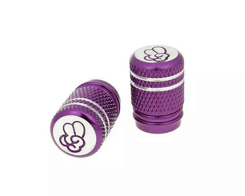 allesvoorscooters1-1212733