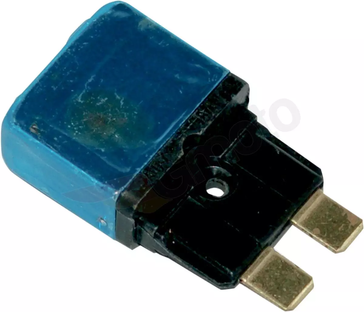 gmoto-1273521