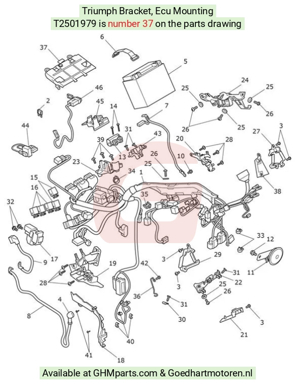 goedhartmotoren5-602498