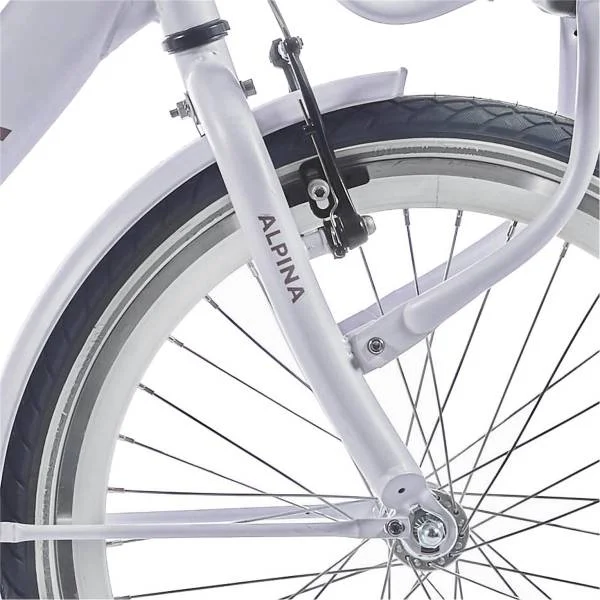 hollandbikeshop2-1321686